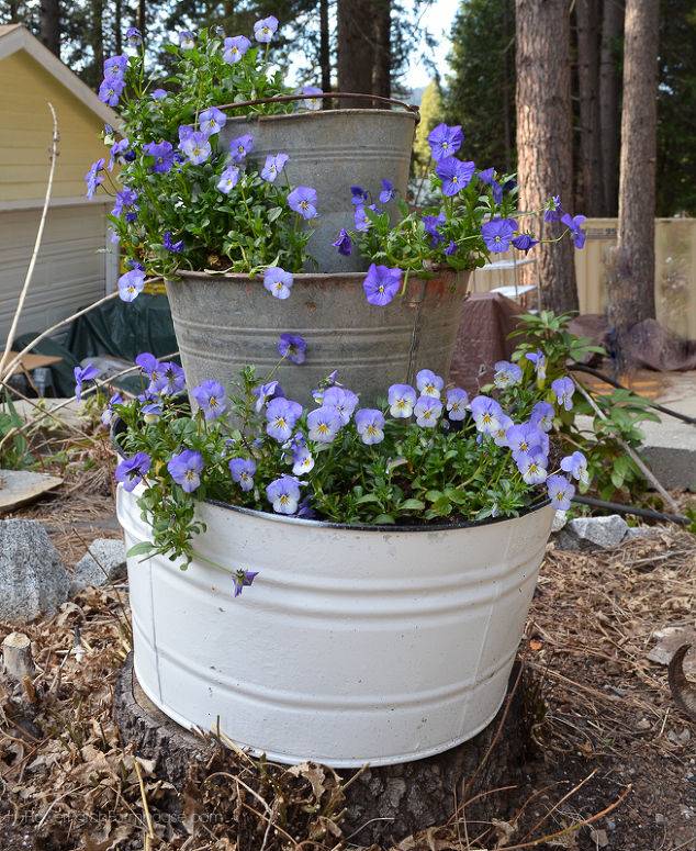 21 Bucket Garden Ideas To Try This Year SharonSable