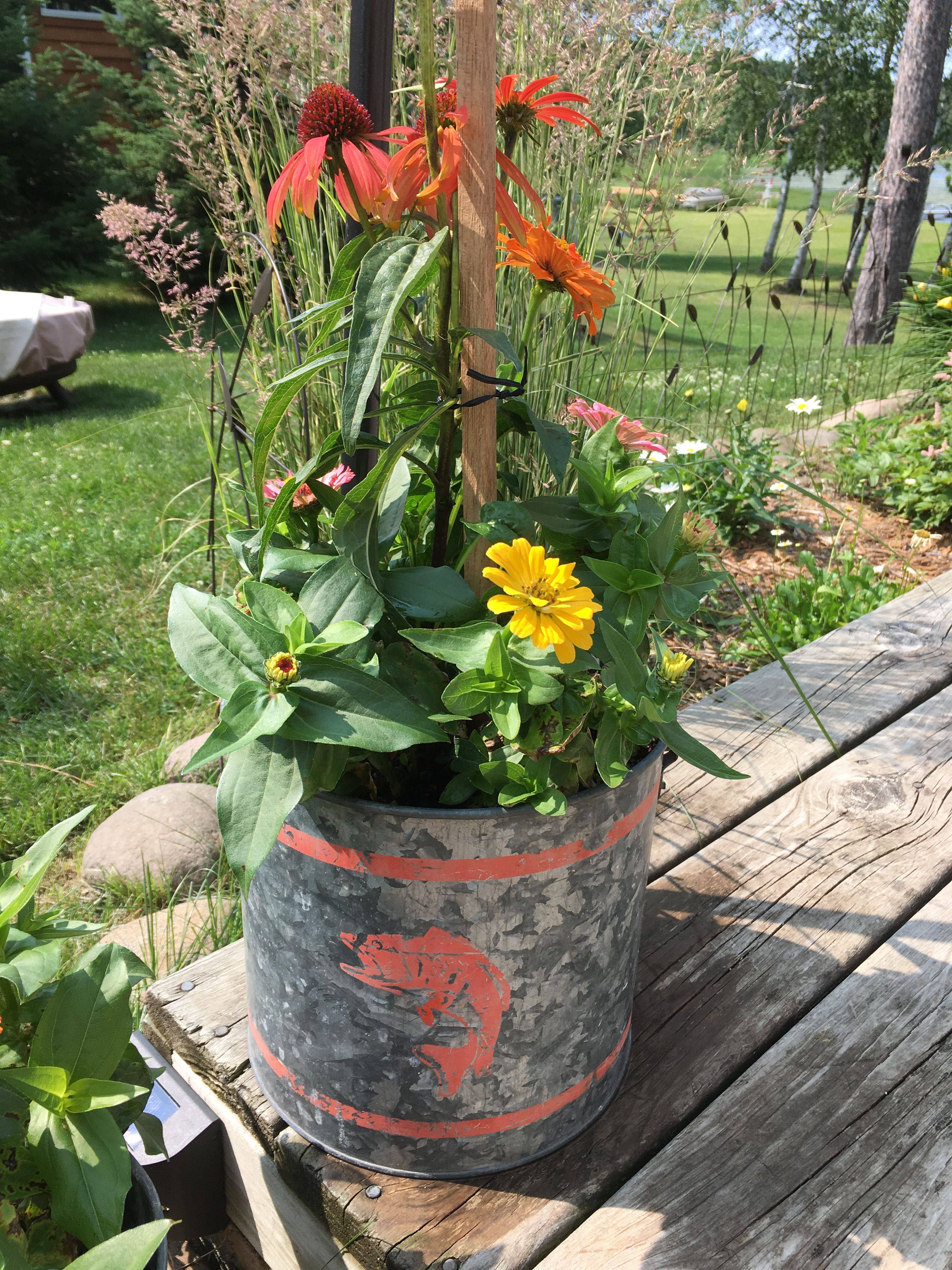 21 Bucket Garden Ideas To Try This Year SharonSable