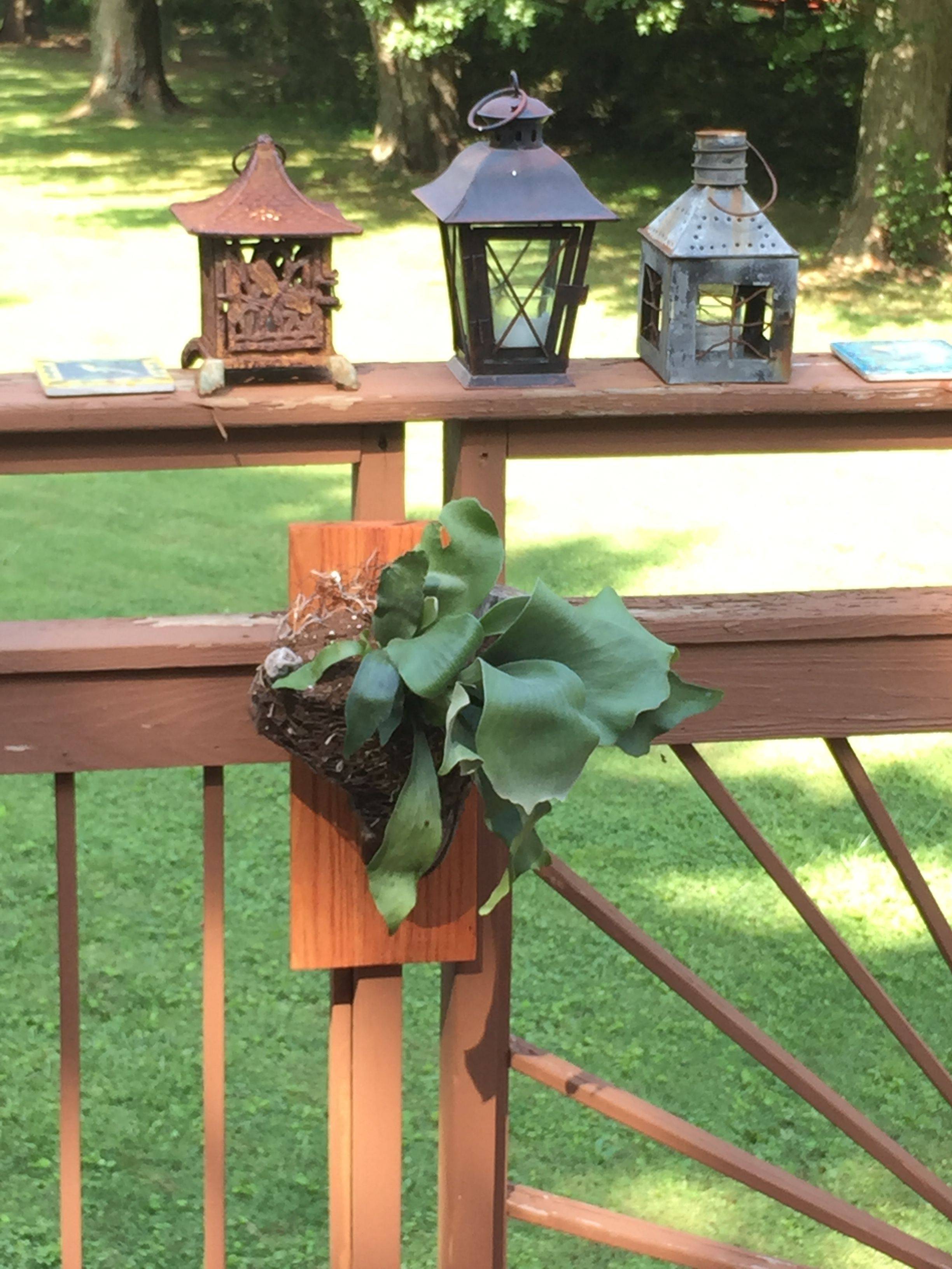 Eyecatching Wonderful And Creative Patio Planter Ideas