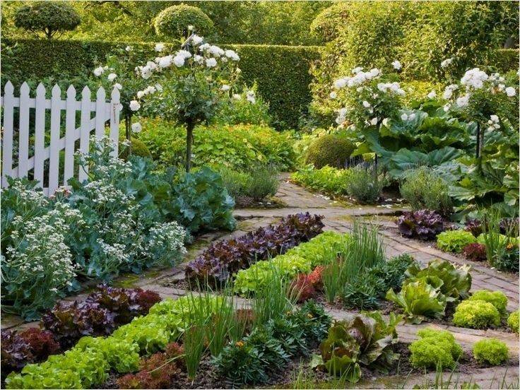 Advantageous Small Vegetable Garden Ideas
