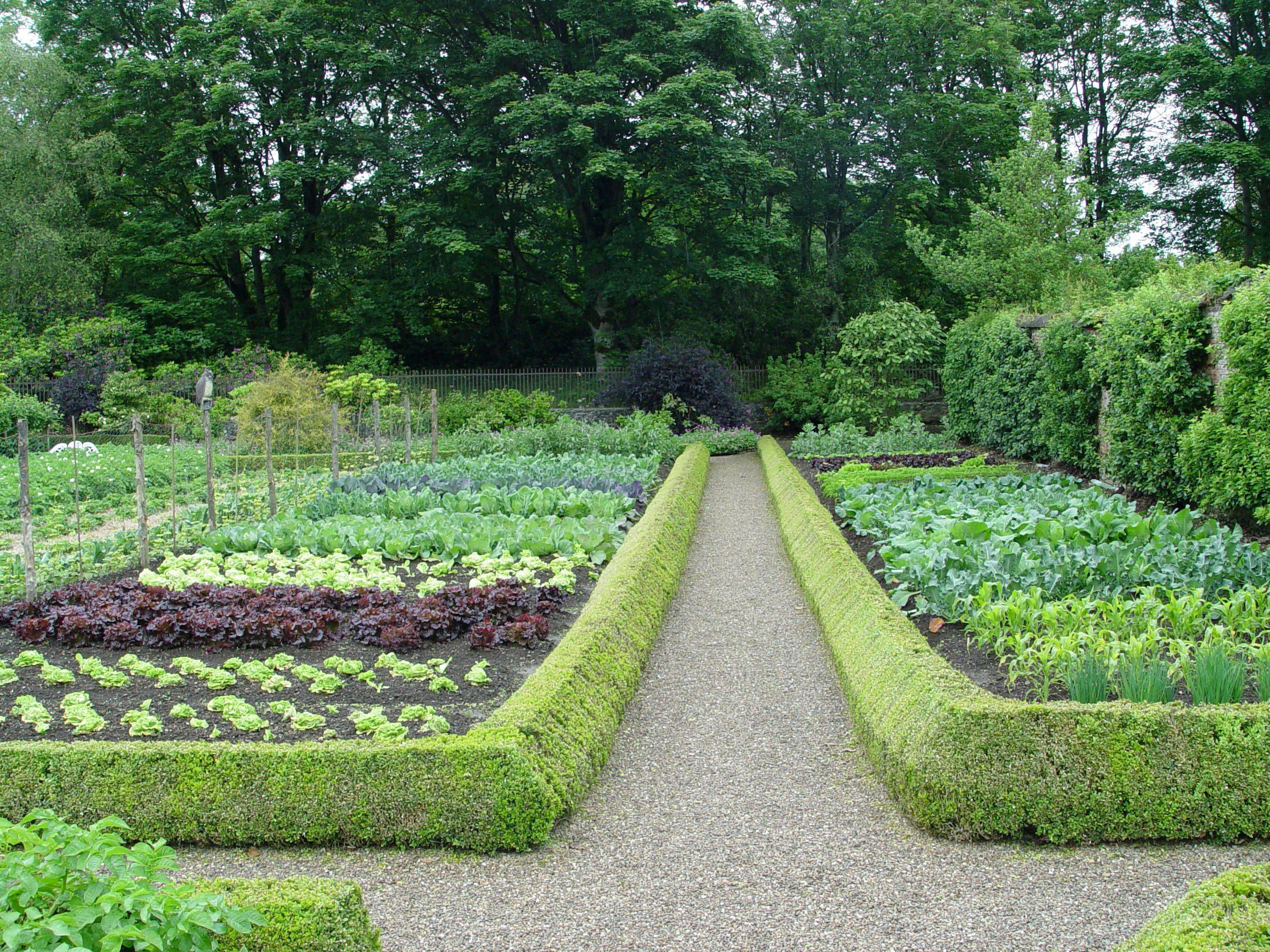 Most Beautiful Vegetable Gardens