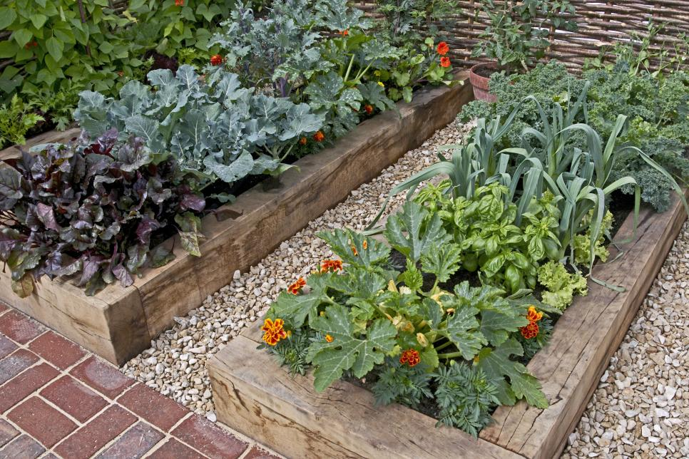 Deliciously Beautiful Container Gardens Hgtv