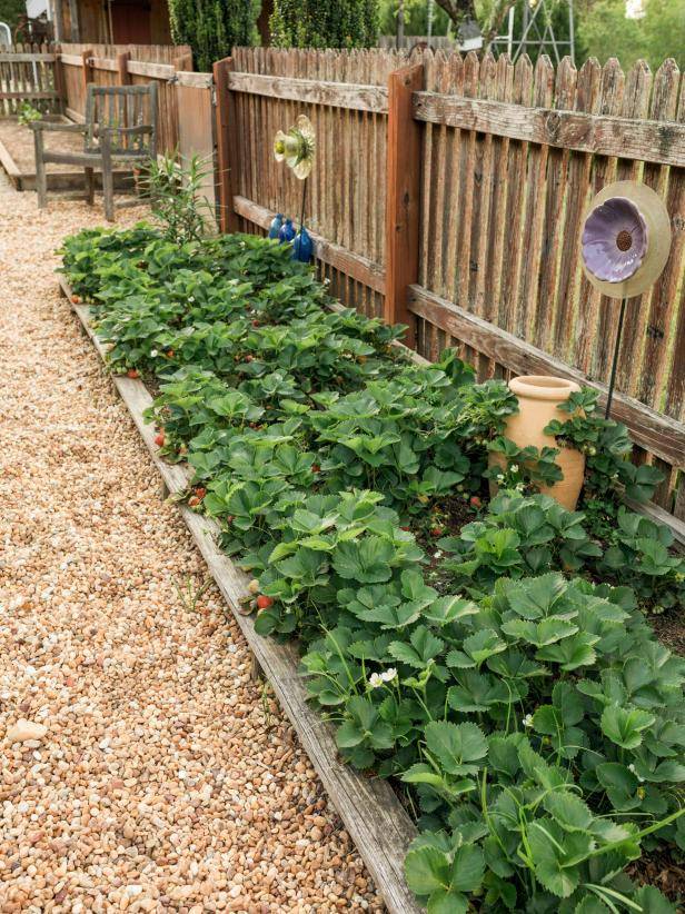 Deliciously Beautiful Container Gardens Hgtv