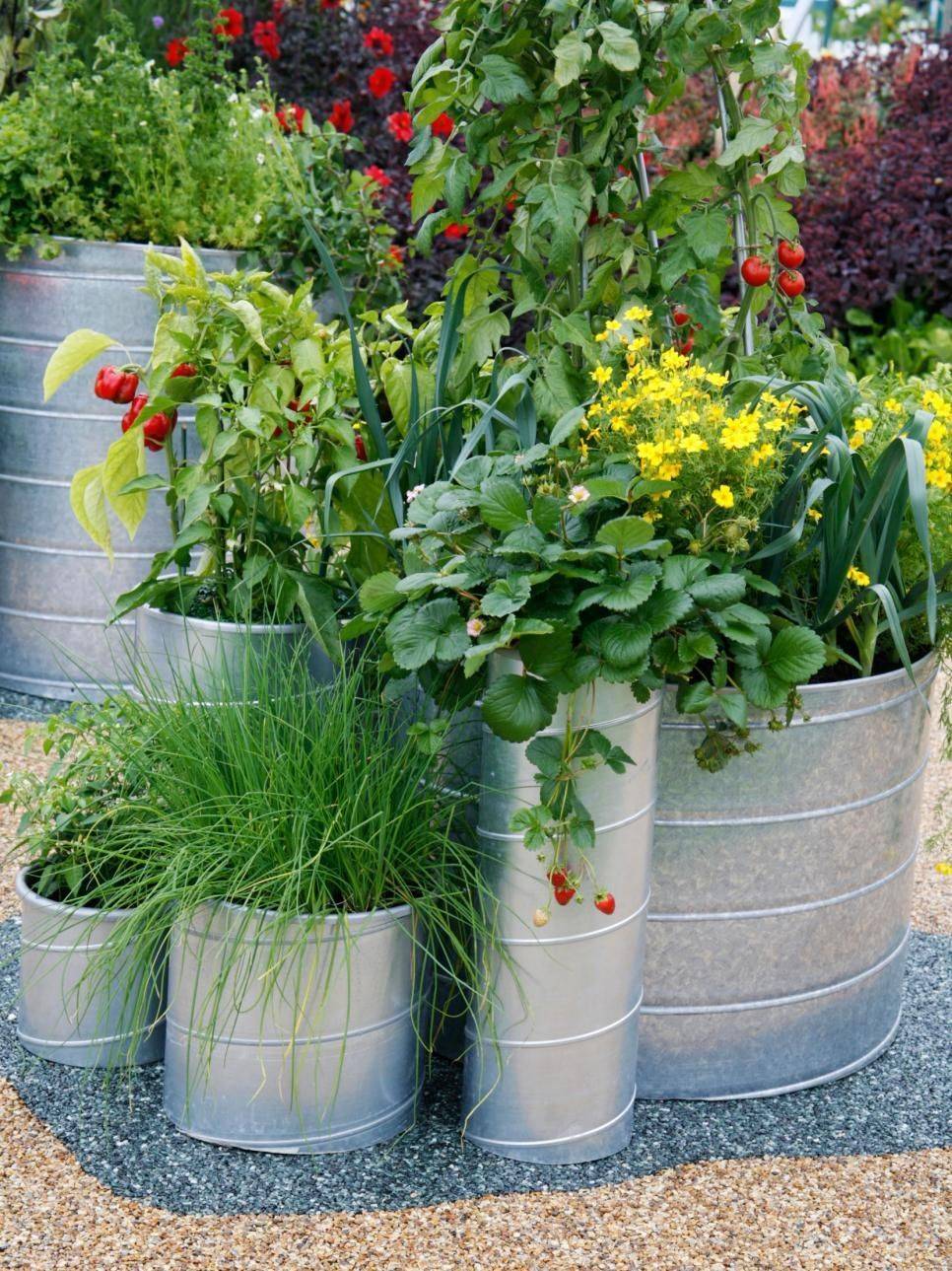 Easy Herb And Vegetable Garden Designs