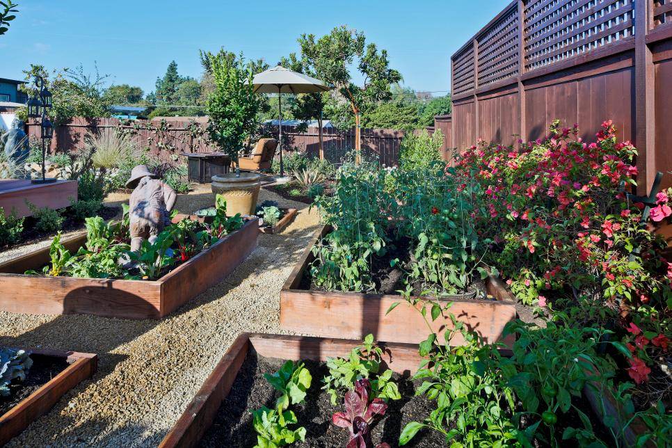 Easy Herb And Vegetable Garden Designs