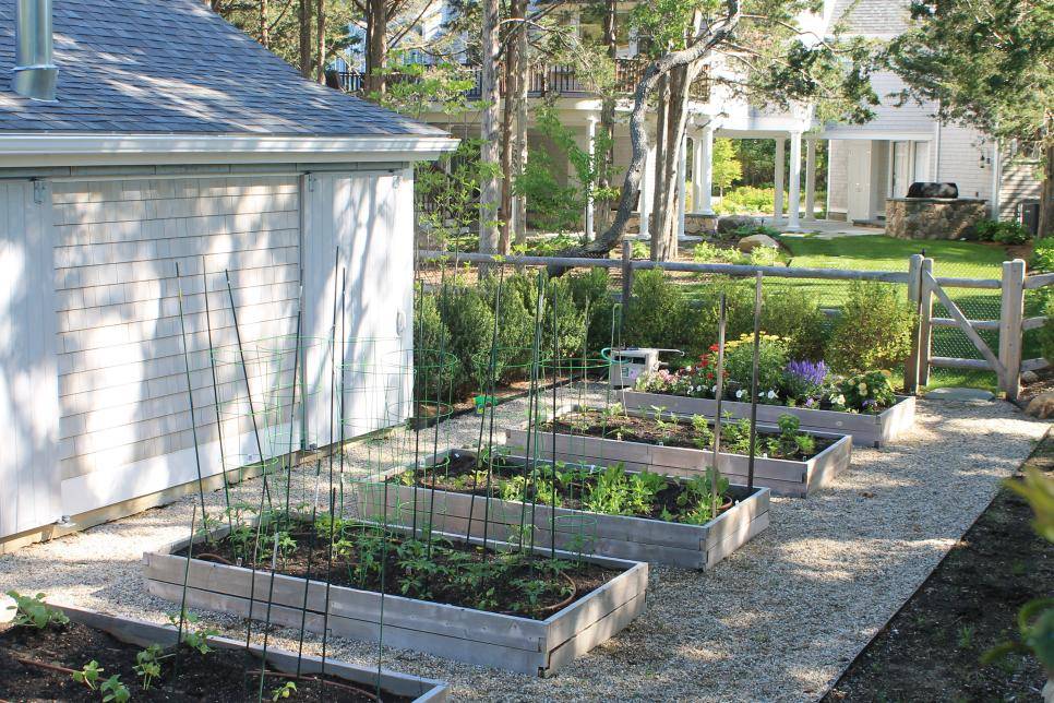 A Charming Family Vegetable Garden Hgtv