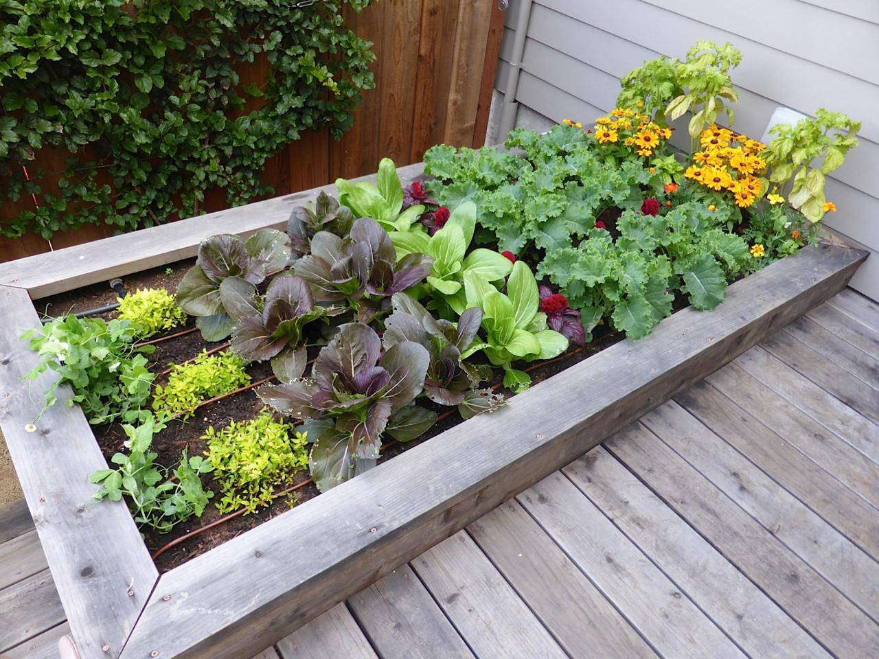 Multiple Raised Garden Beds Hgtv