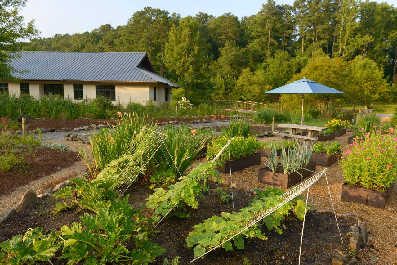 Small Vegetable Garden Plans
