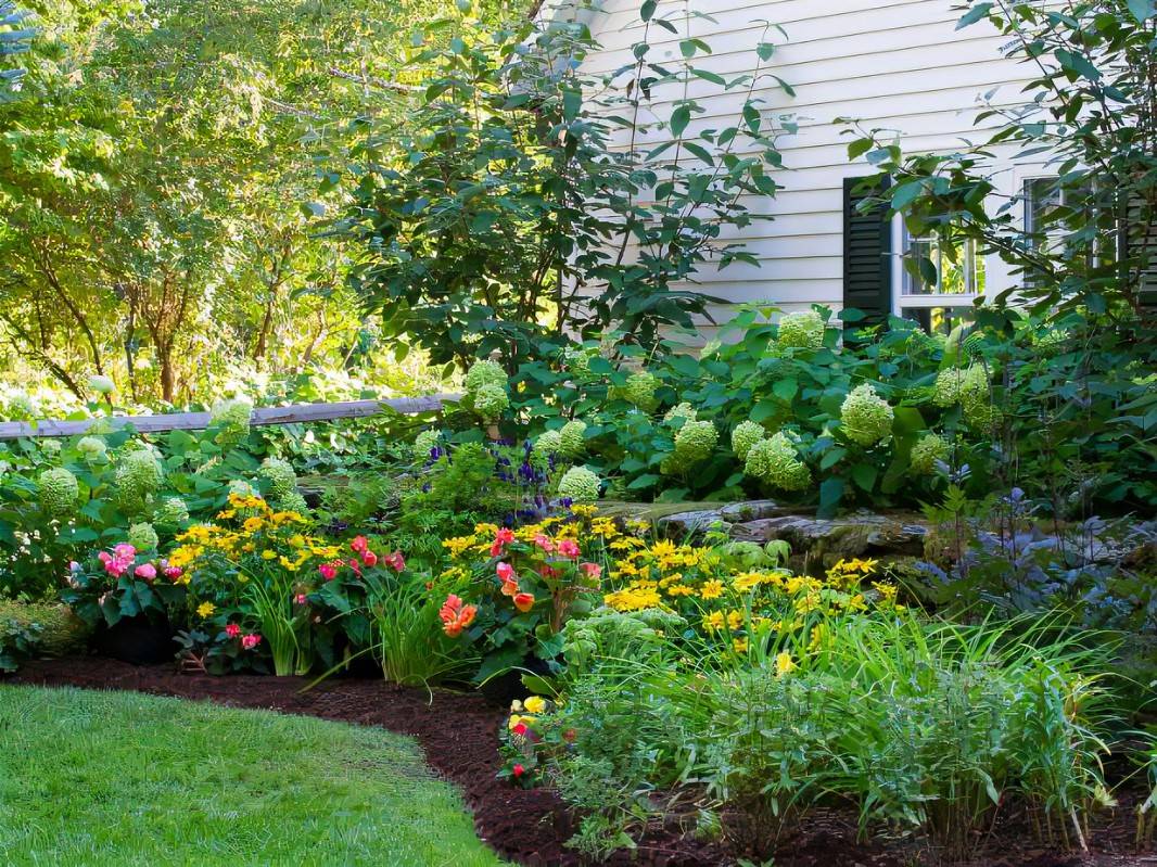 Front Yard Landscaping Ideas Hgtv