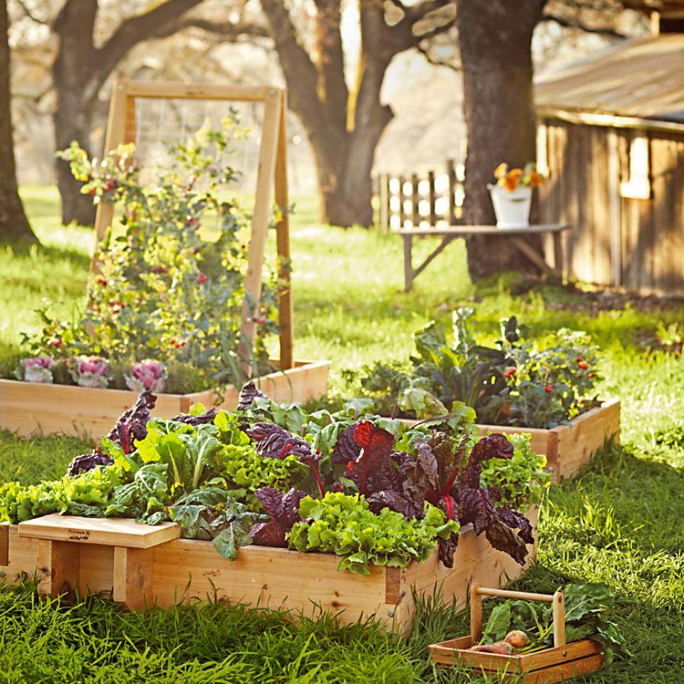 Patio Landscaping Ideas Hgtv