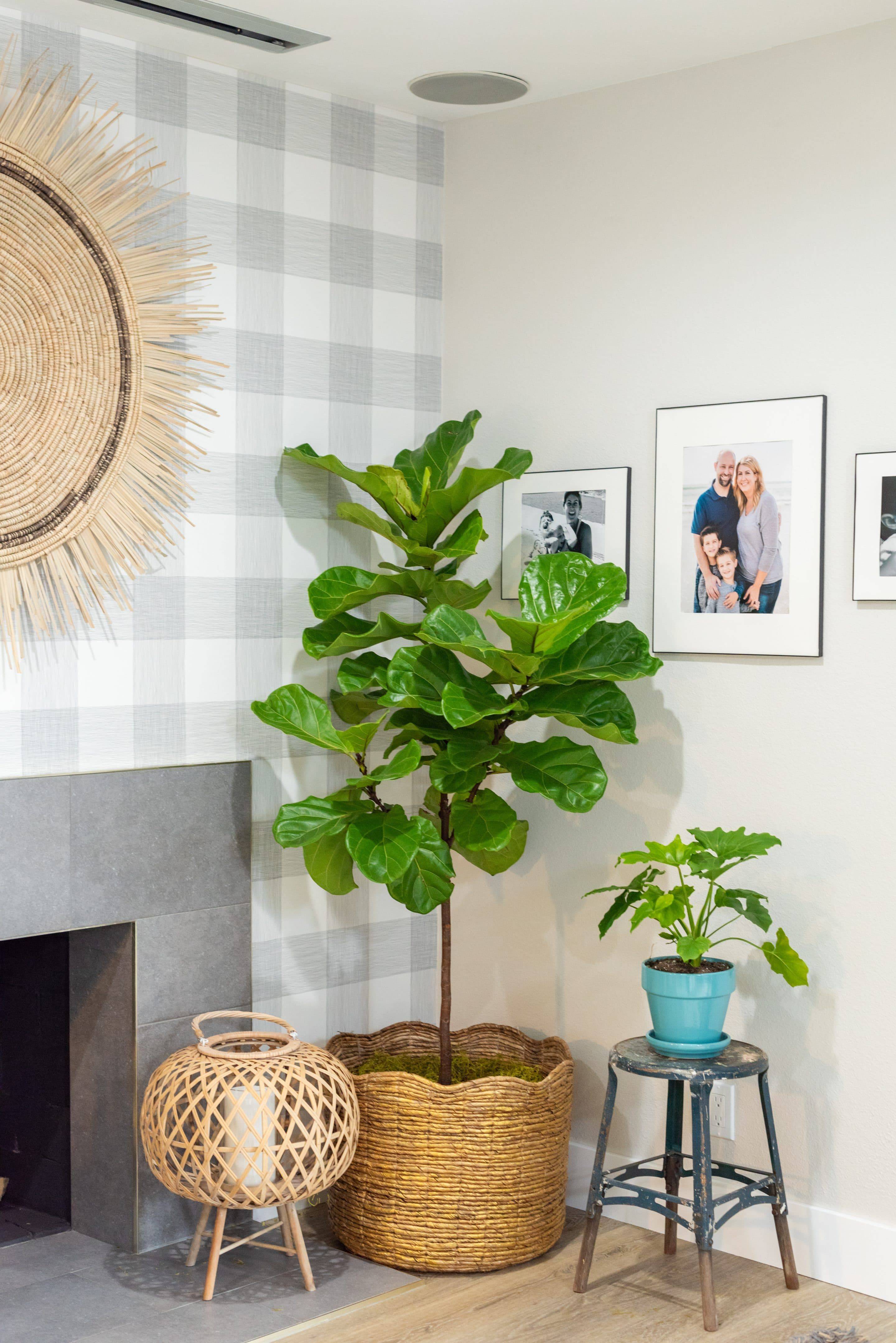 A Stacked Stone Pillar Entryway