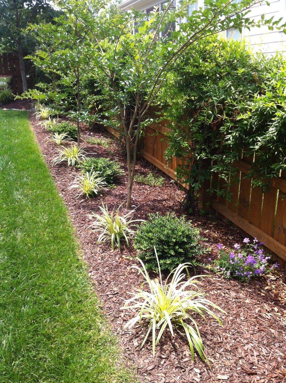 These Groundcovers Hgtv