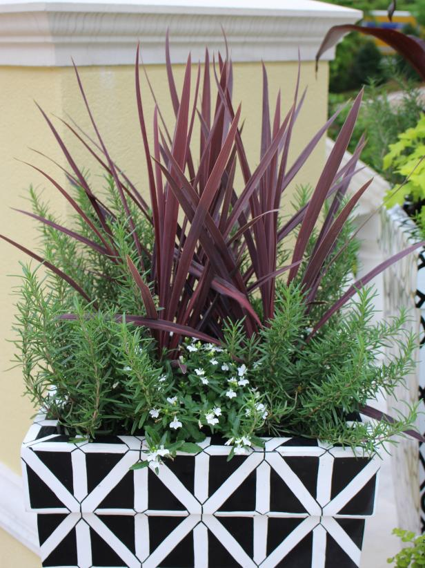 Hgtv Star Jasmine Roths California Casual Backyard Makeover