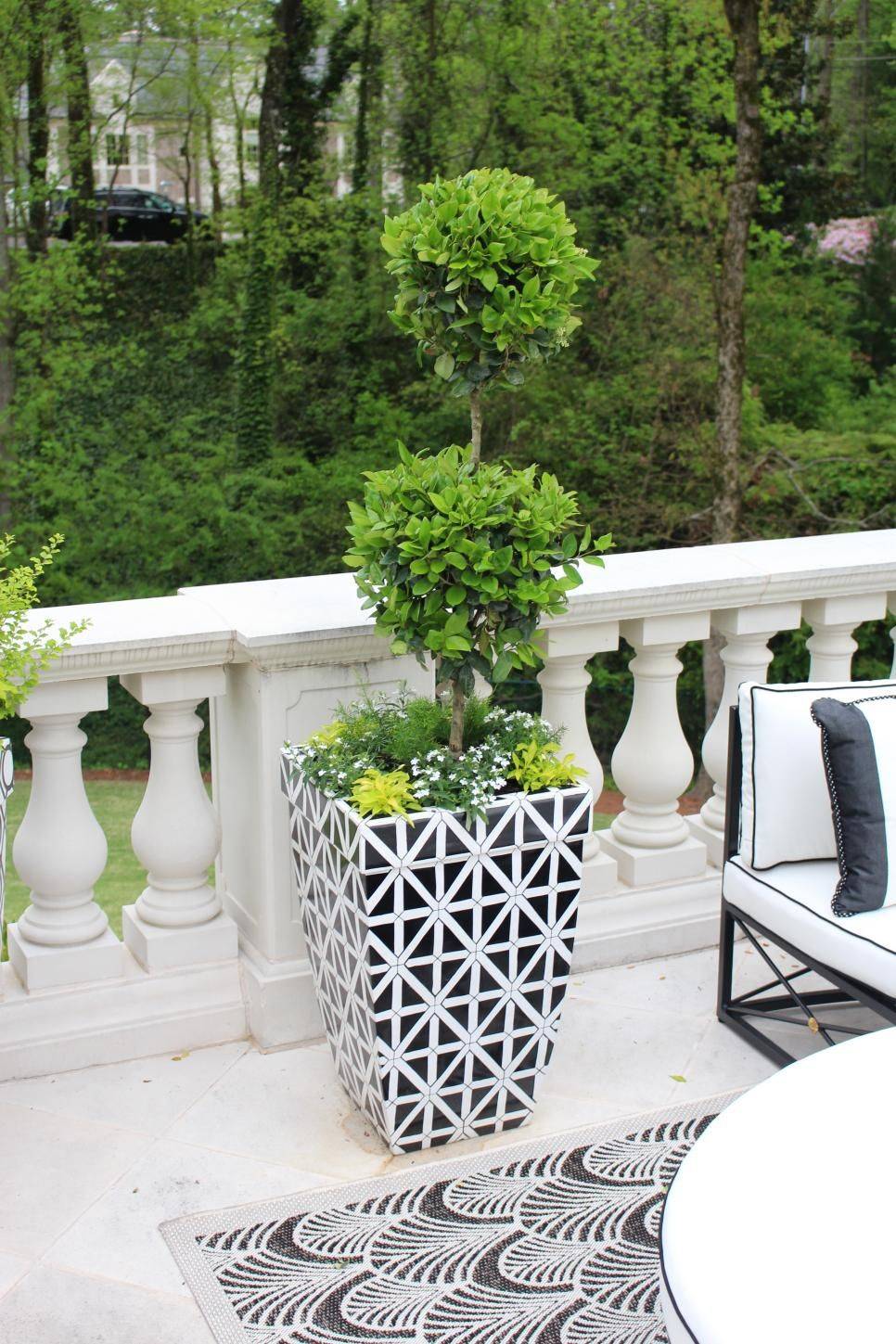 Hidden Potential Hgtv