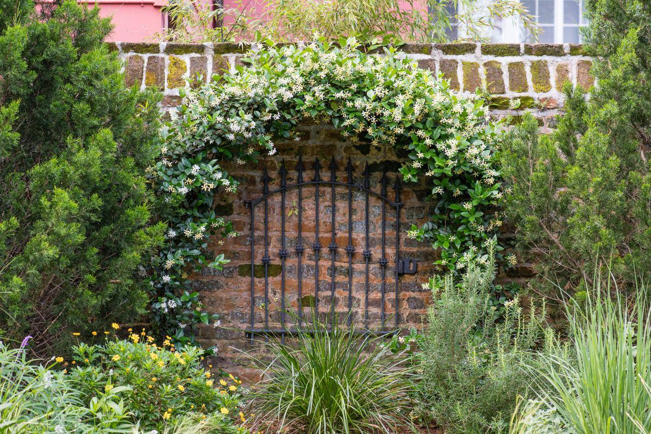 Hidden Potential Hgtv