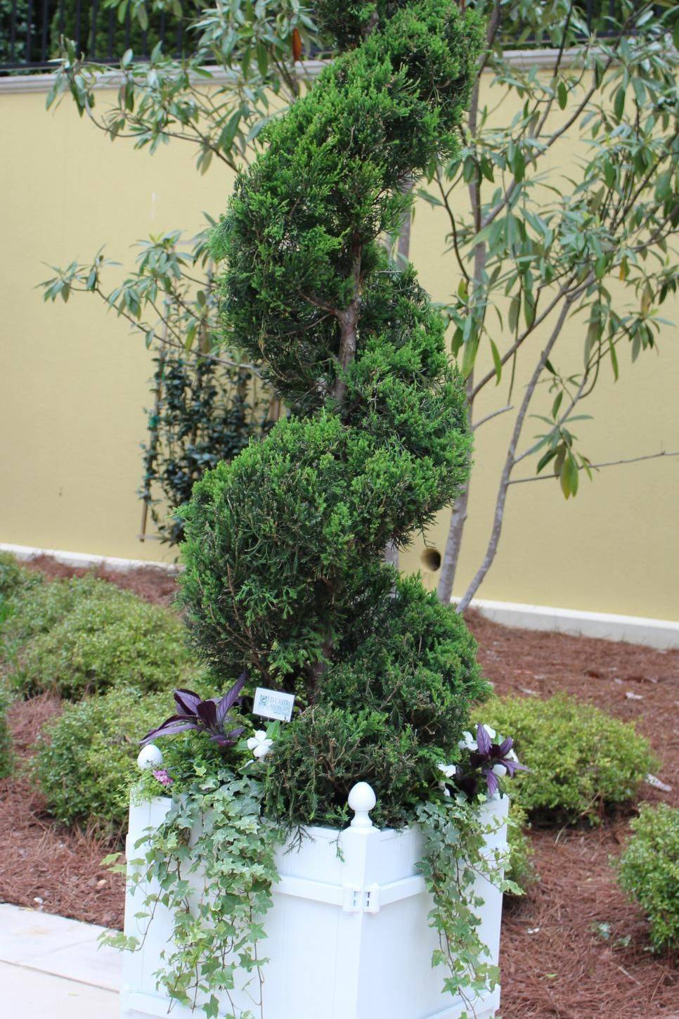 Hidden Potential Hgtv Outdoor