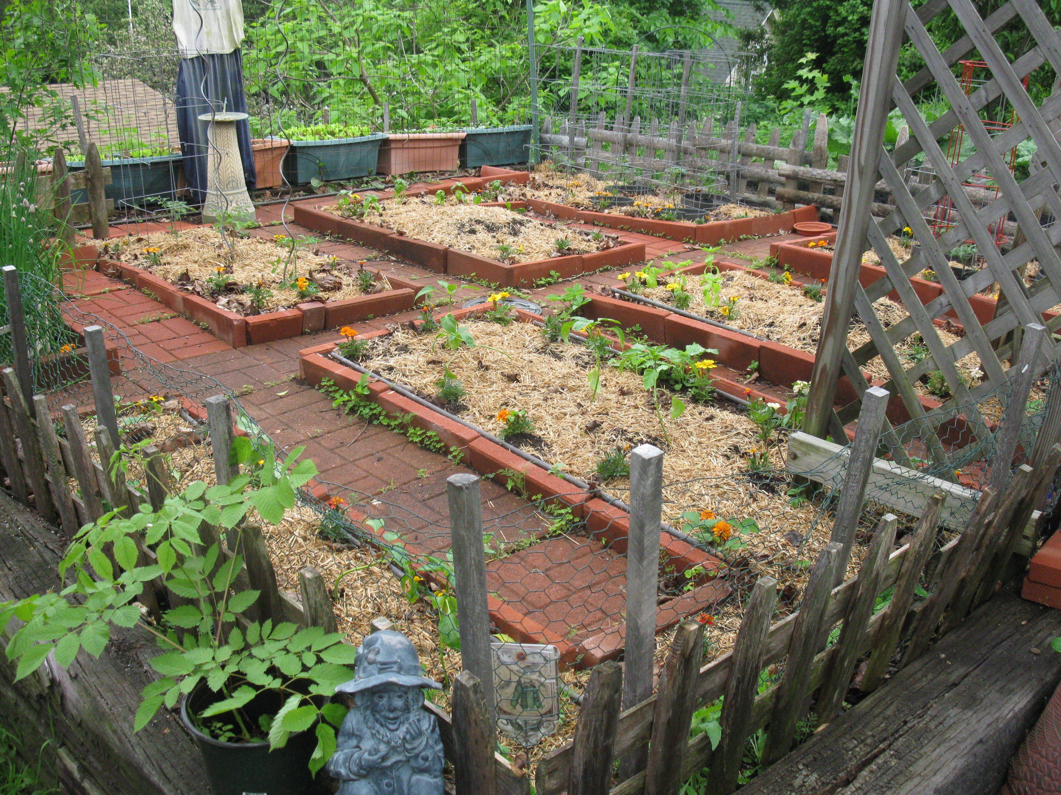 Most Productive Small Vegetable Garden Ideas