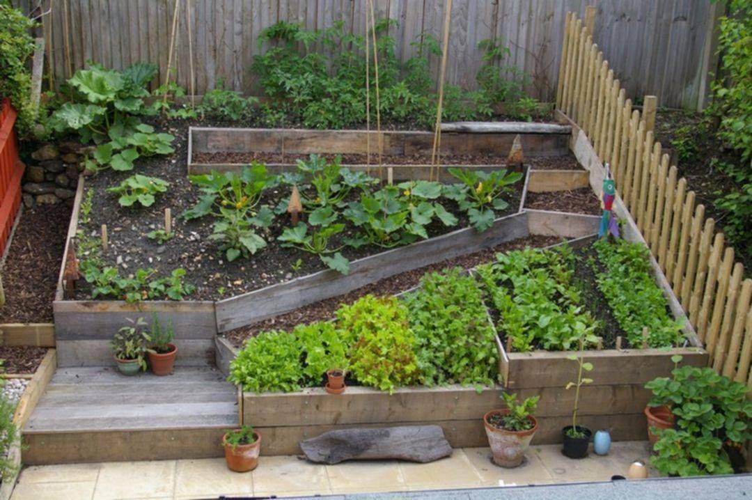 Good Backyard Vegetable