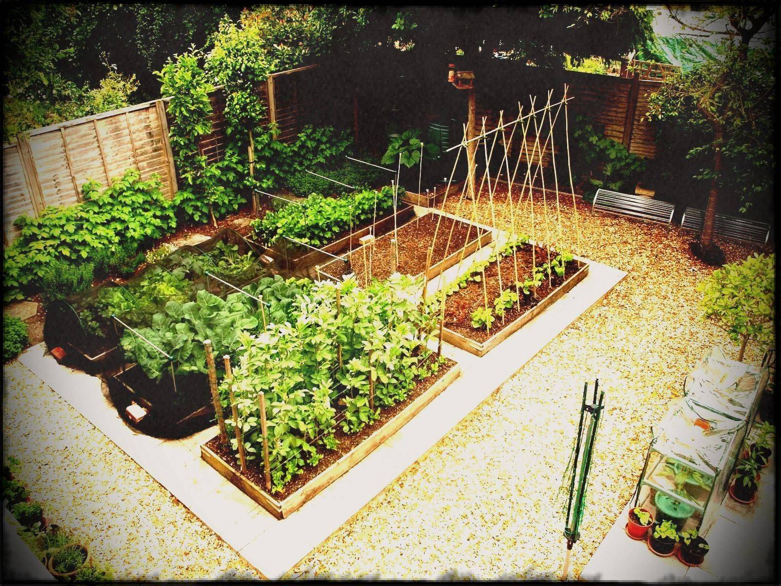 A Home Vegetable Garden