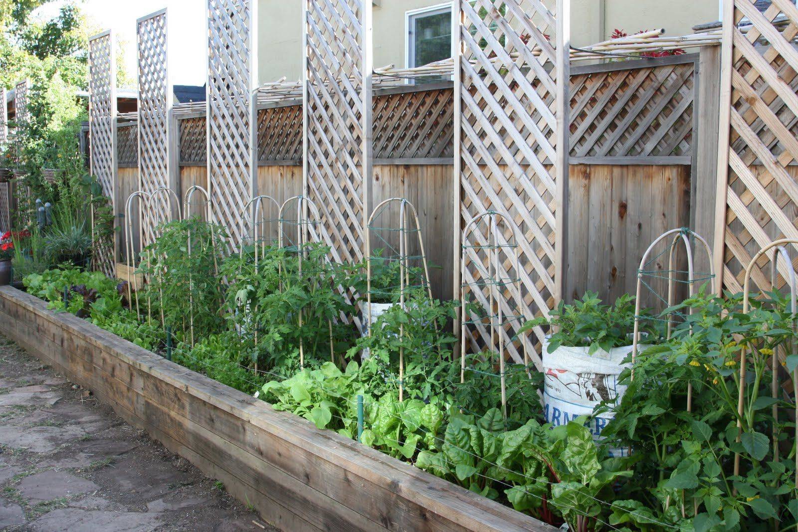 Raised Beds Against Fence This Is Definitely Doable In Backyard