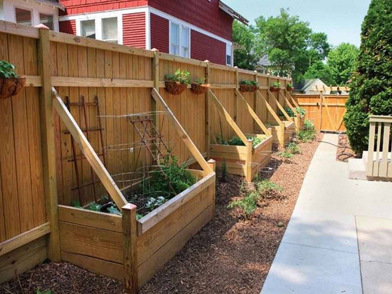 Privacy Fence Backyard