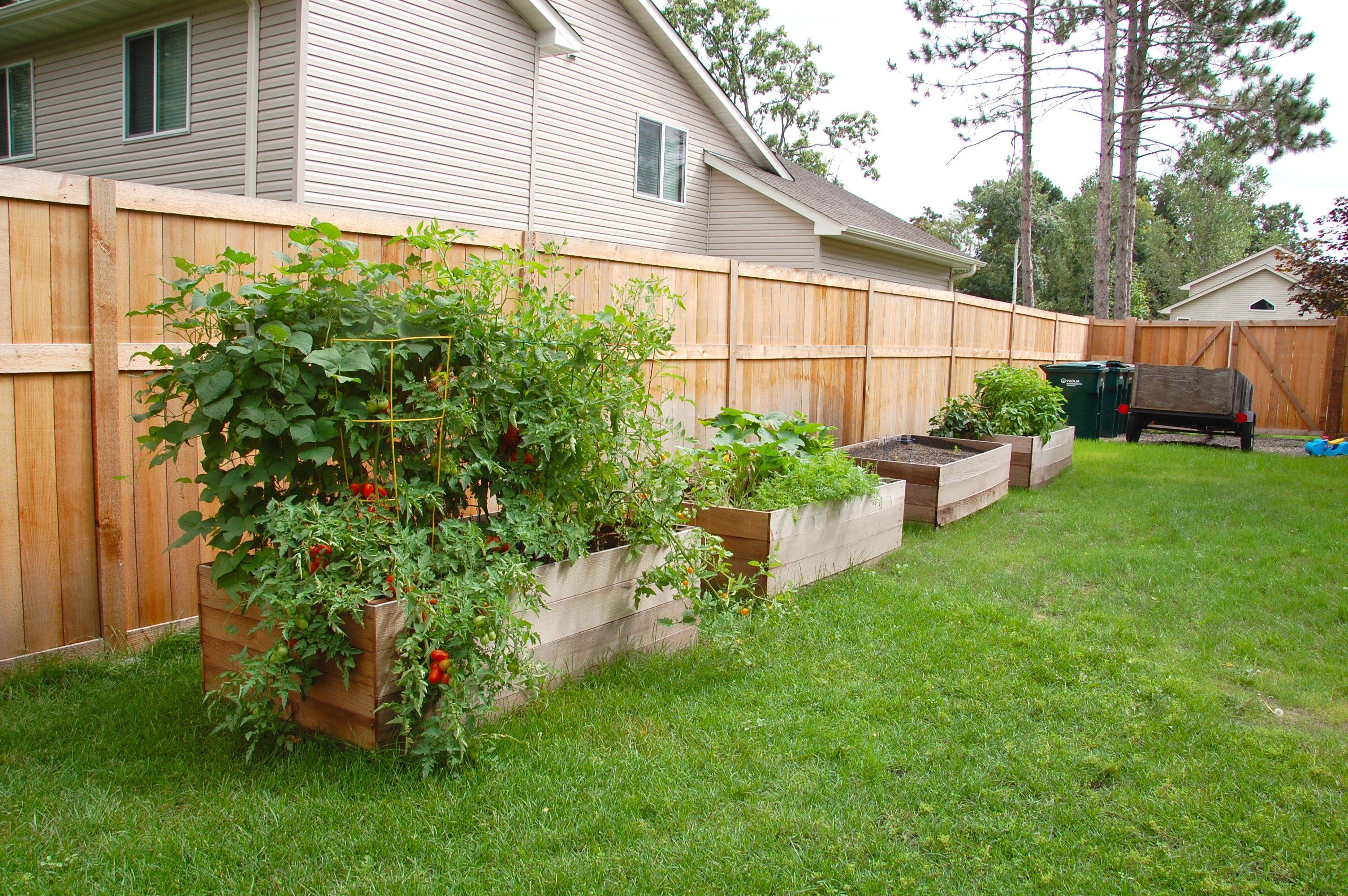 Our Entire Back Fence