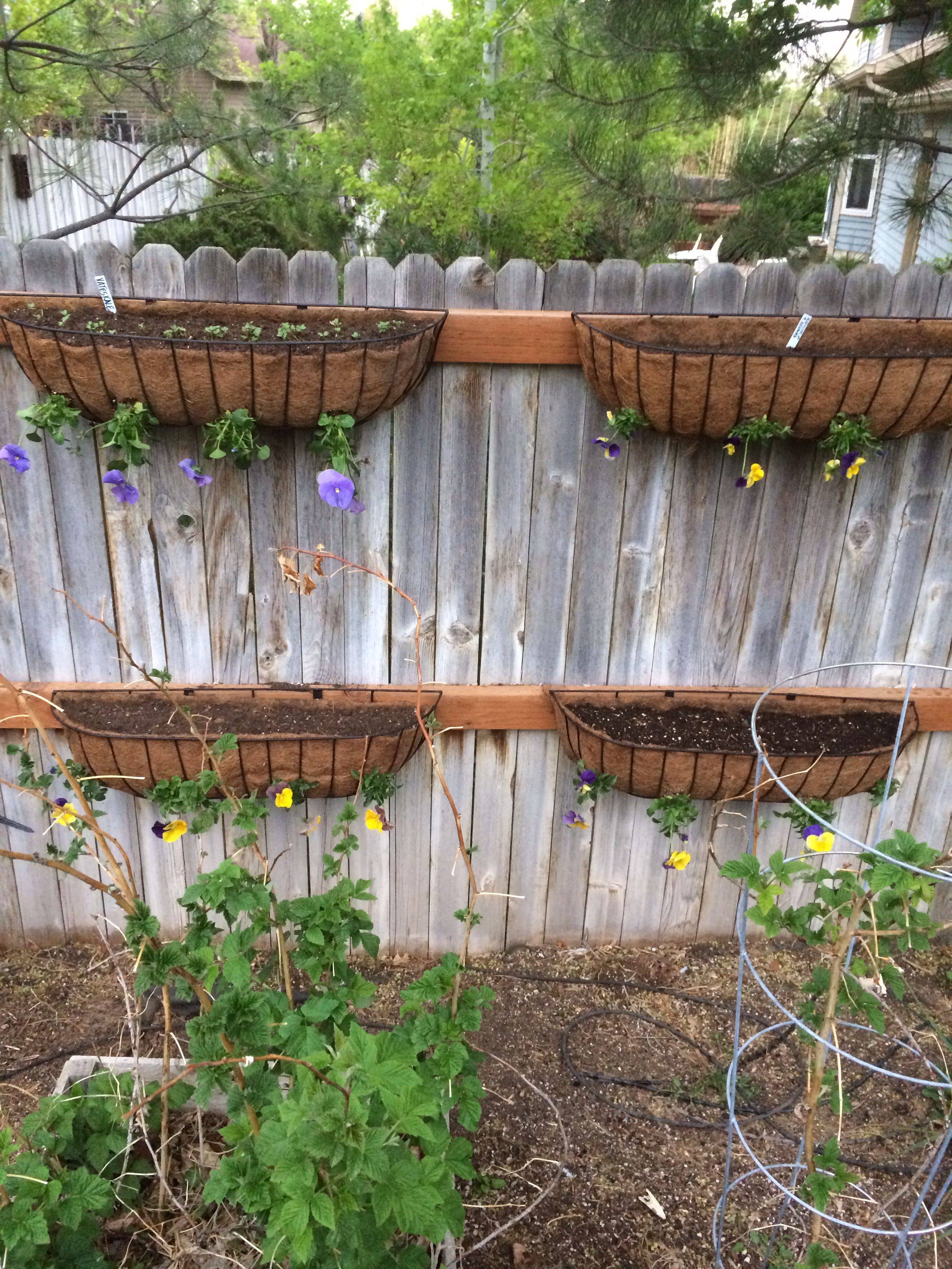 Flower Gardening