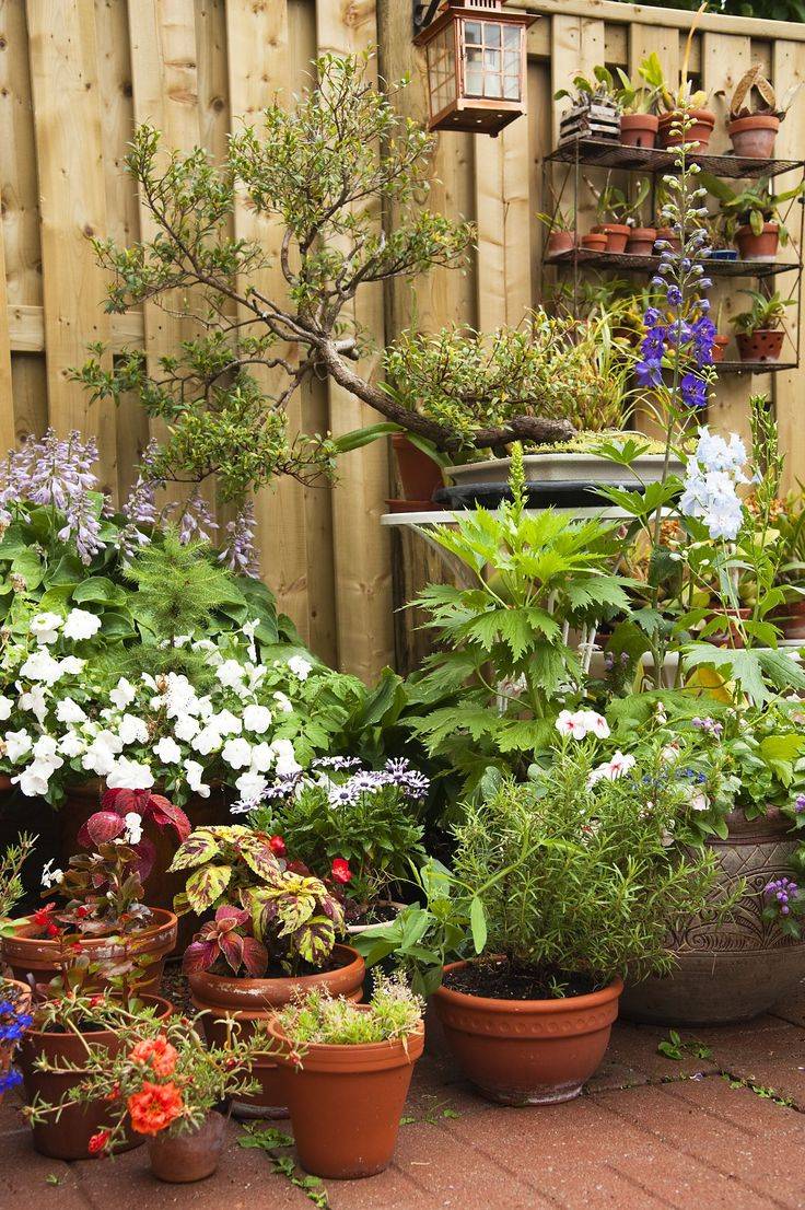 Garden Containers