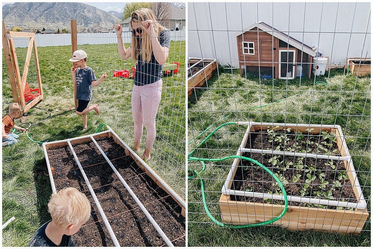 Pvc Trellis Gate Outdoor Decorations