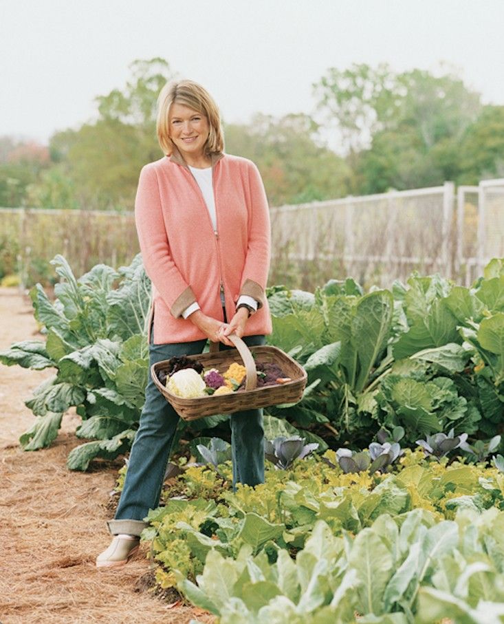 Martha Stewart