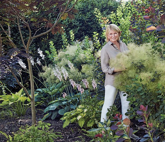 Martha Stewarts Vegetable Garden