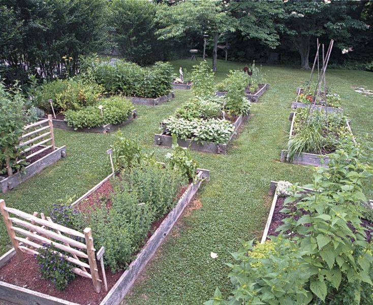 Marvelous Container Garden Ideas