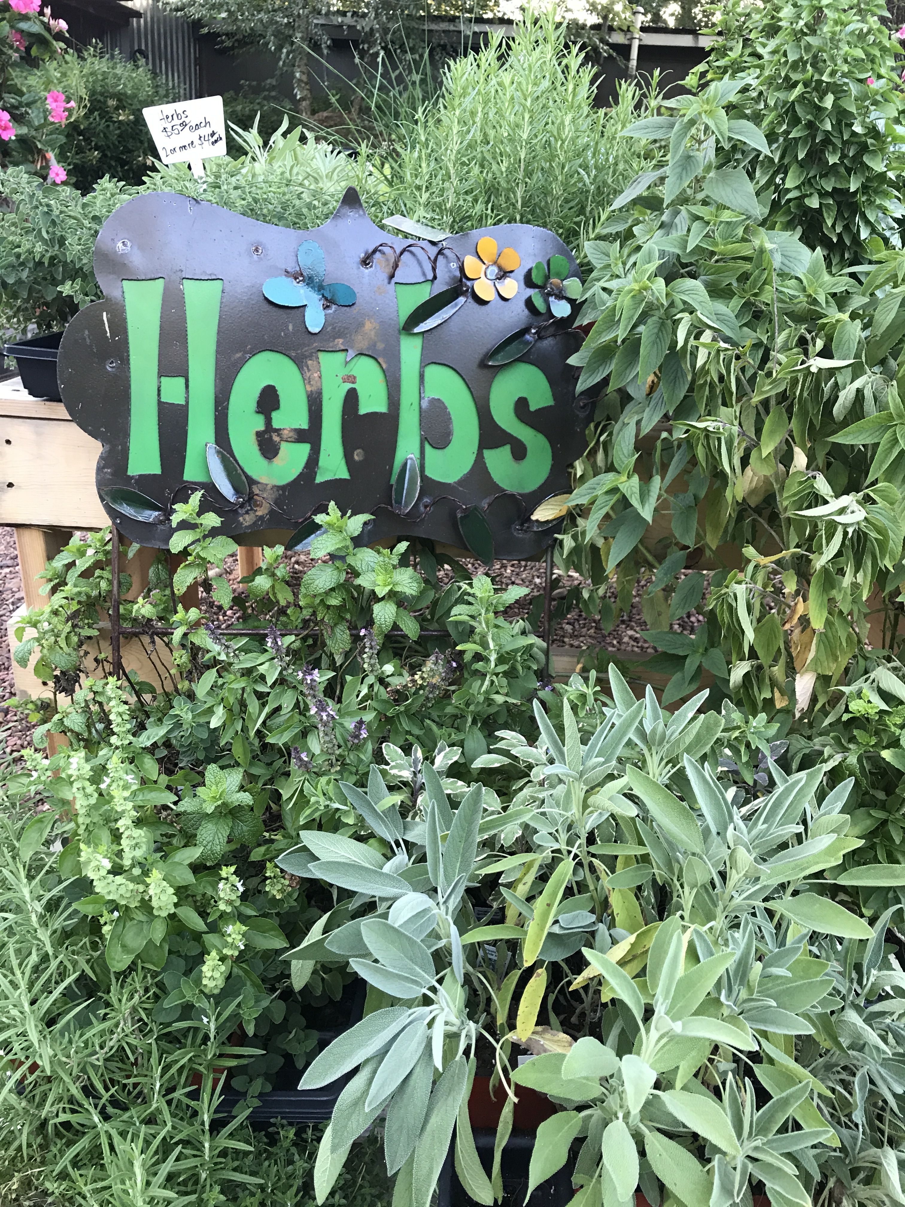 Backyard Patch Herbal Blog