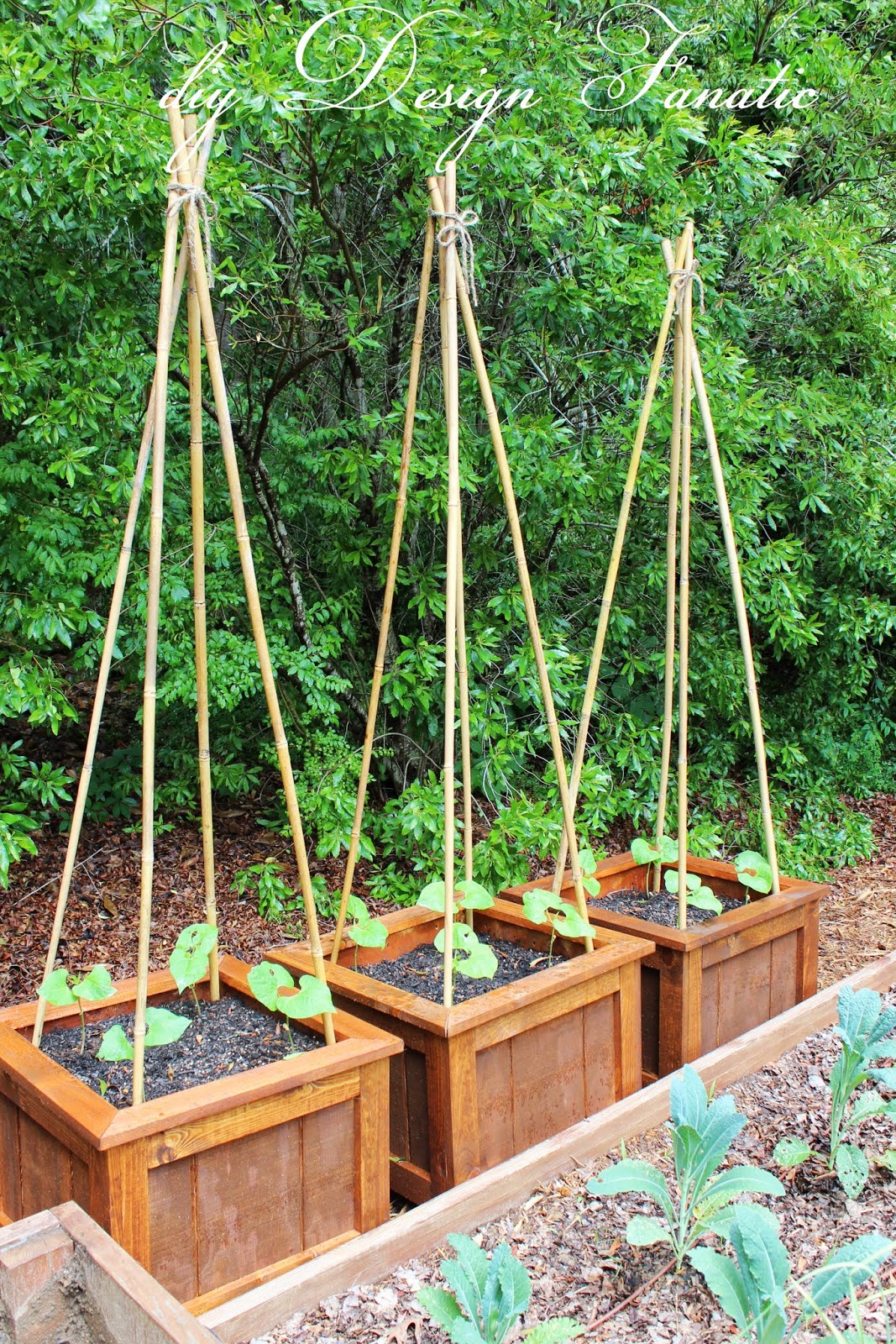 Diy Planter Box Plans That Are Easy To Make The Selfsufficient Living