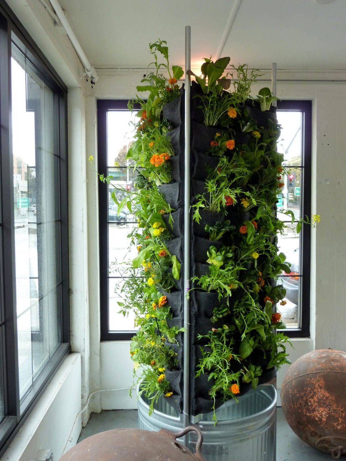 Vertical Hydroponics Gardening Ideas