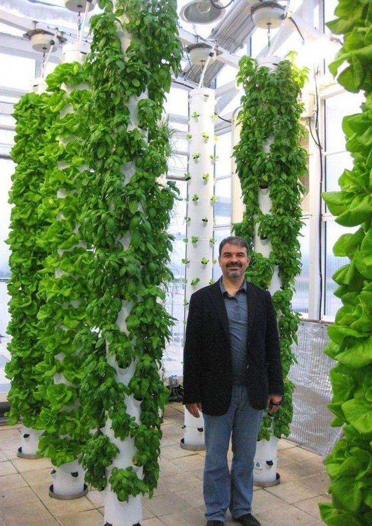 Effective Utilized Aquaponics