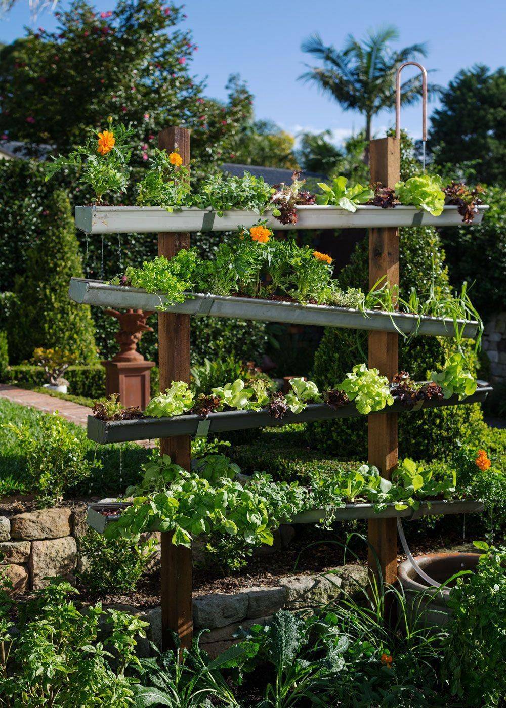 Vertical Aquaponics Garden