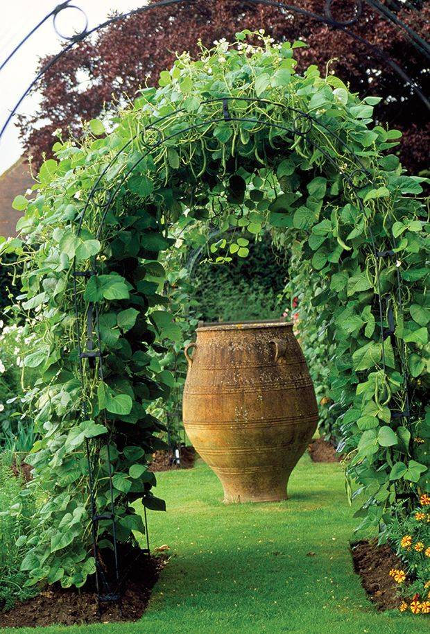 Top Small Vegetable Garden Ideas