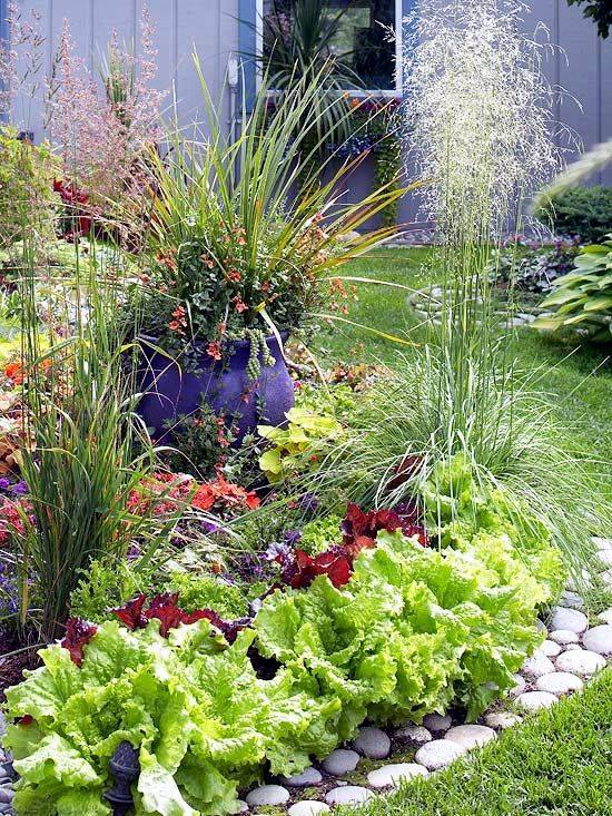 Decorative Vegetable Garden Ideas Stylish Green