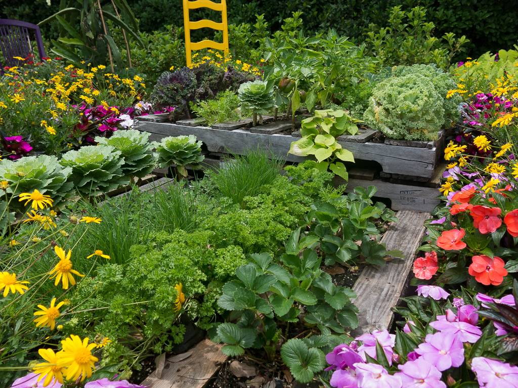 Decorative Vegetable Garden Ideas Stylish Green