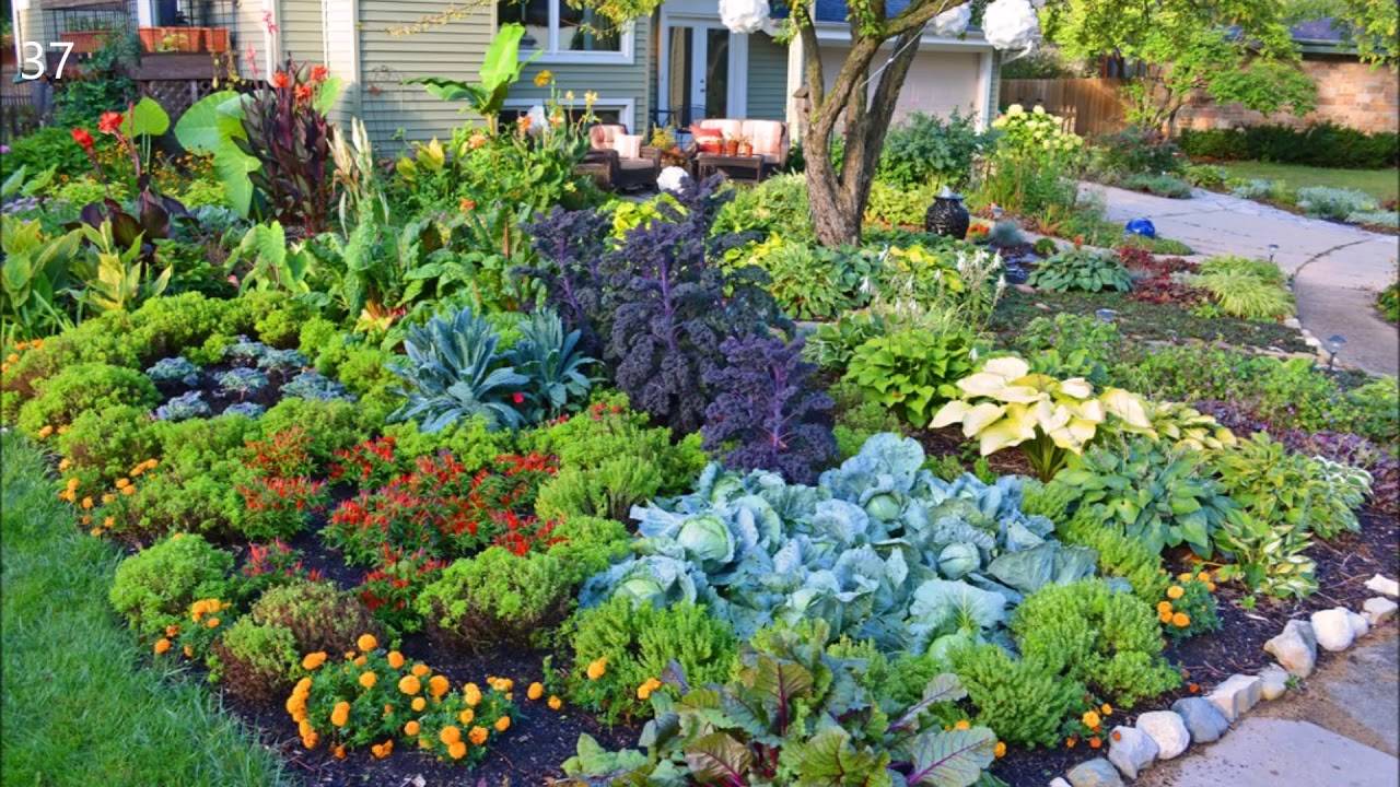 Ornamental Vegetable Garden Decorative Vegetable Garden Ideas