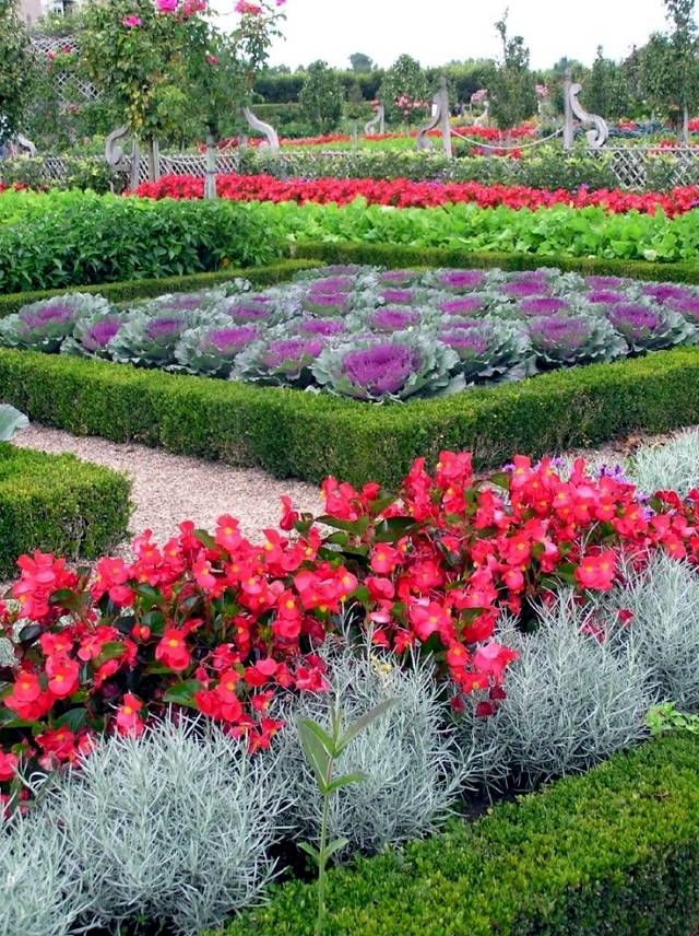 Decorative Gardens