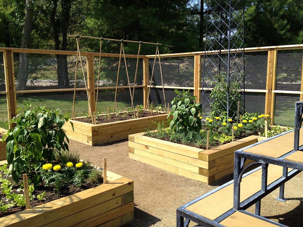 Best Inexpensive Decorative Vegetable Garden Fencing Ideas