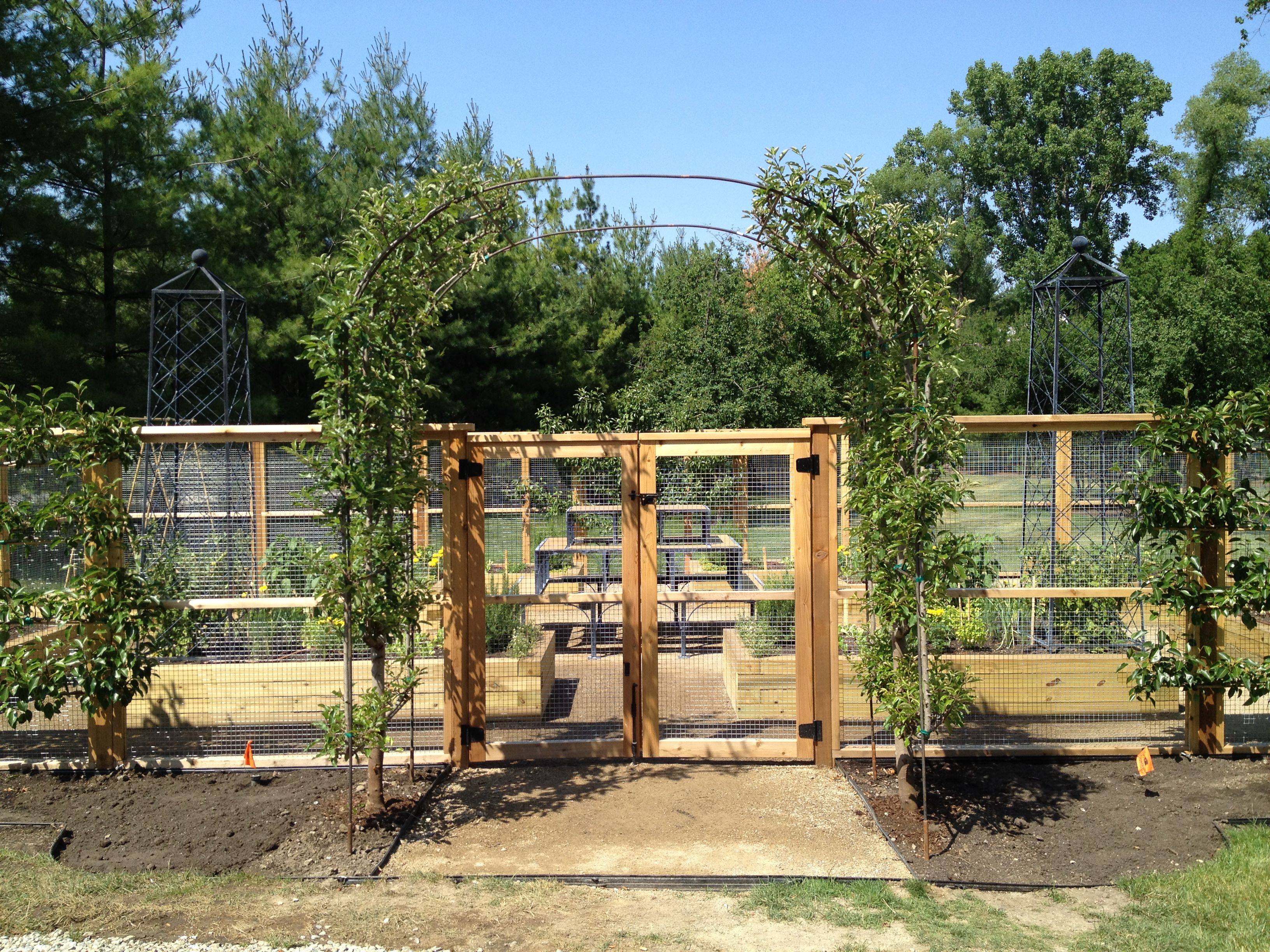 Vegetable Garden Fence Height