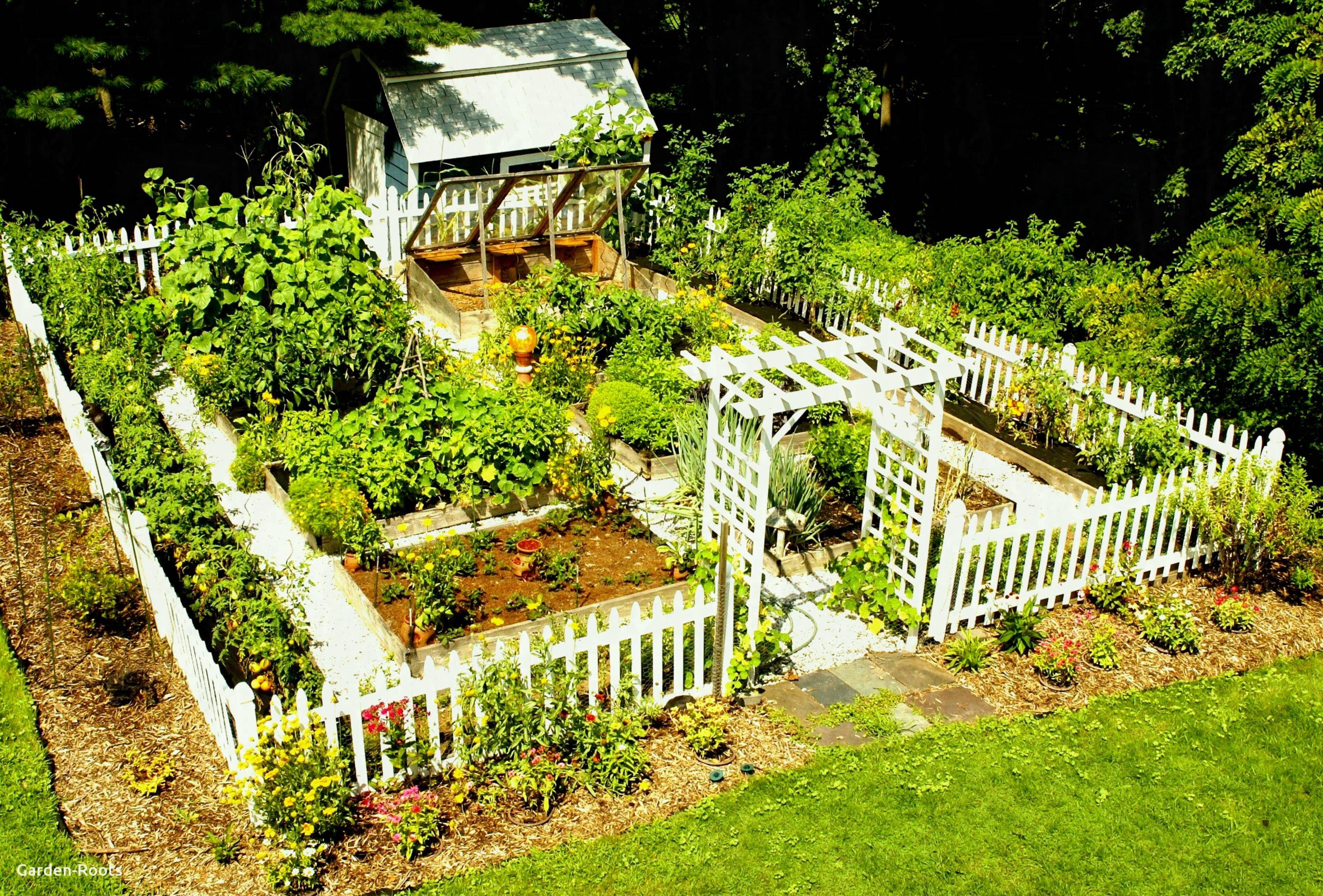 Attractive Rustic Potager Garden