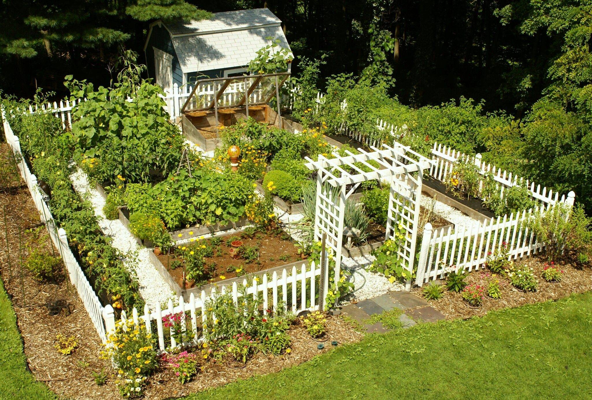 Awesome Backyard Vegetable Garden Design Ideas Structhomecom