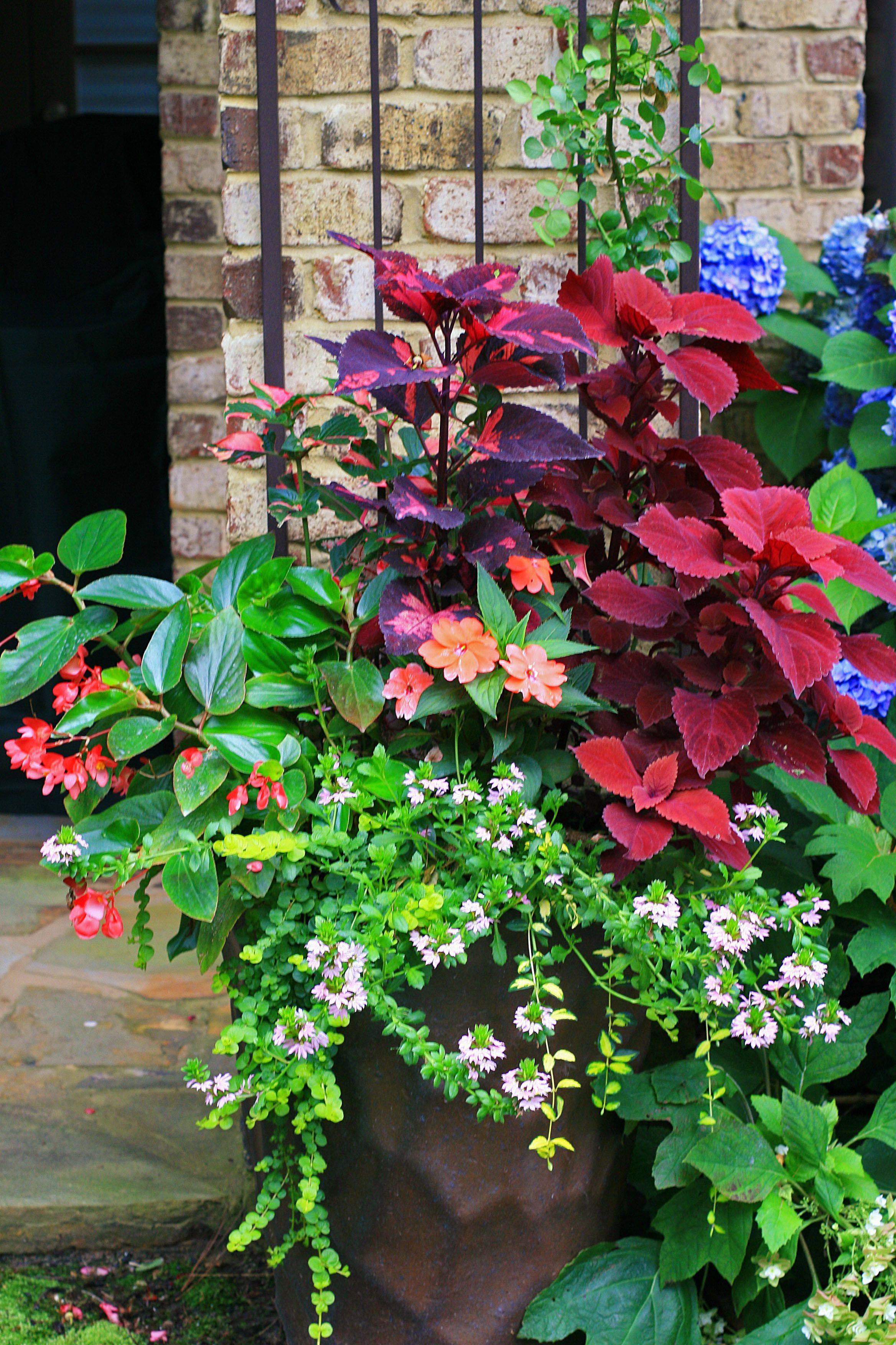 Stylish Colorful Shade Garden Pots Ideas