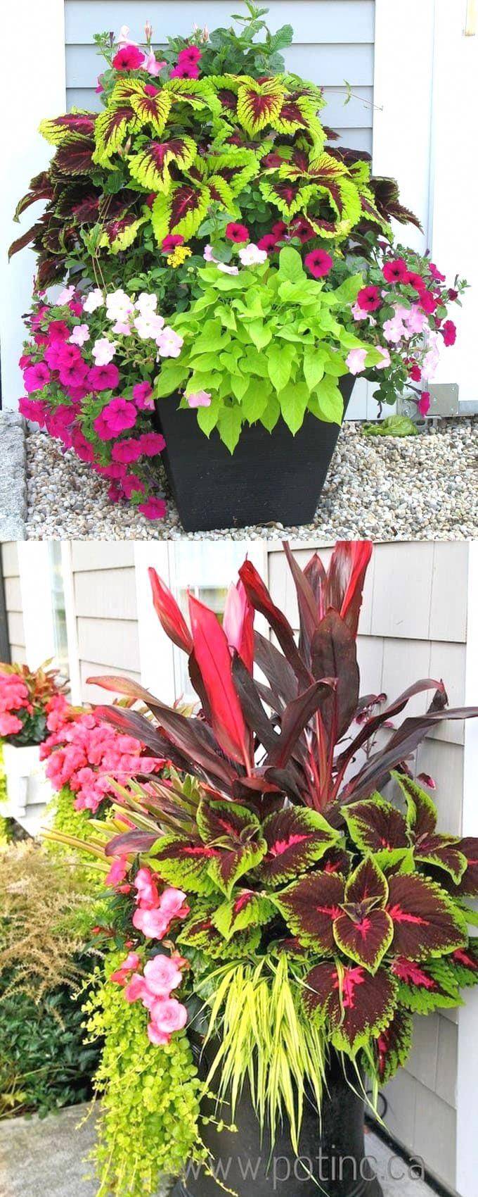 Colorful Shade Garden Pots And Plant Ideas Porch Flowers