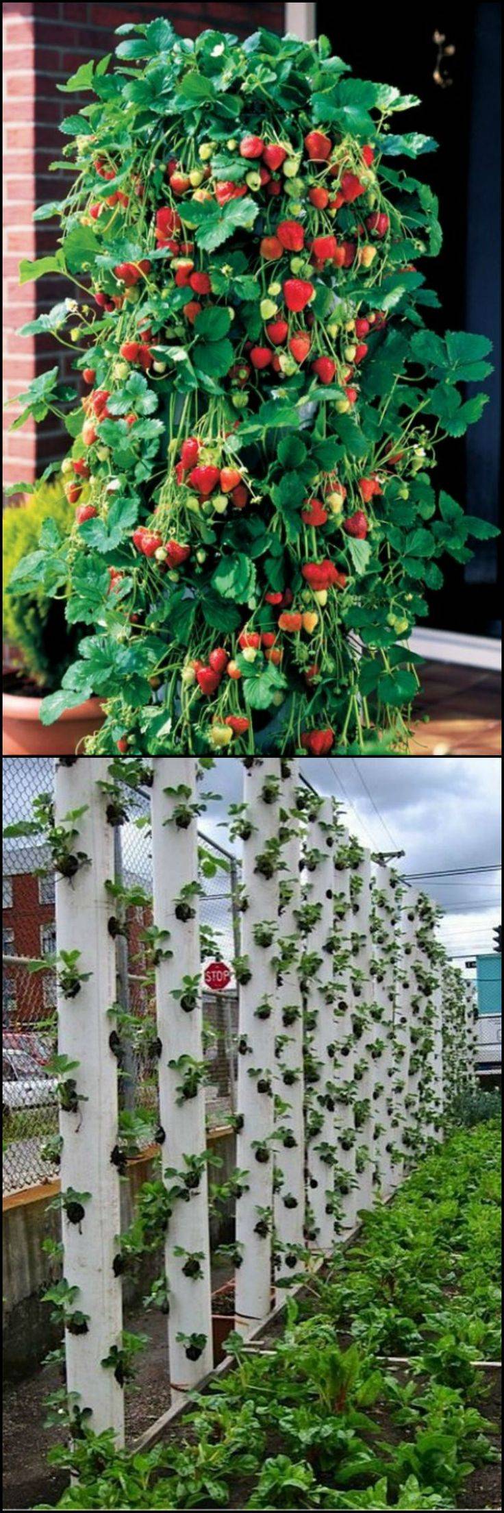 Strawberry Planter Ideas Woodworking Projects