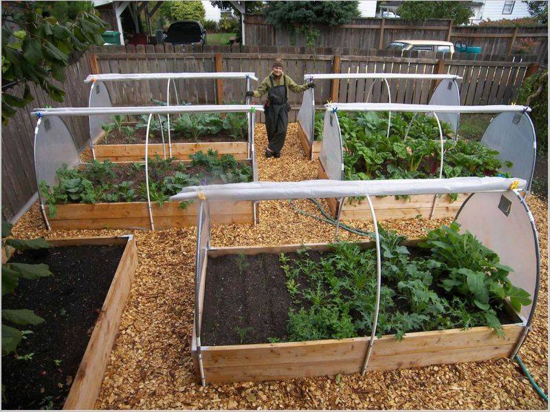 Gardening Tips